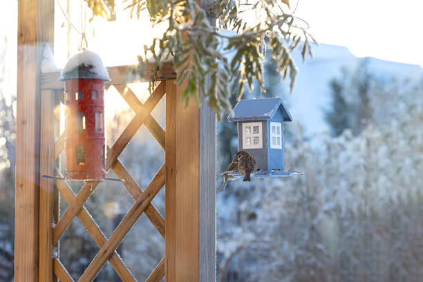 Winter landscape planning